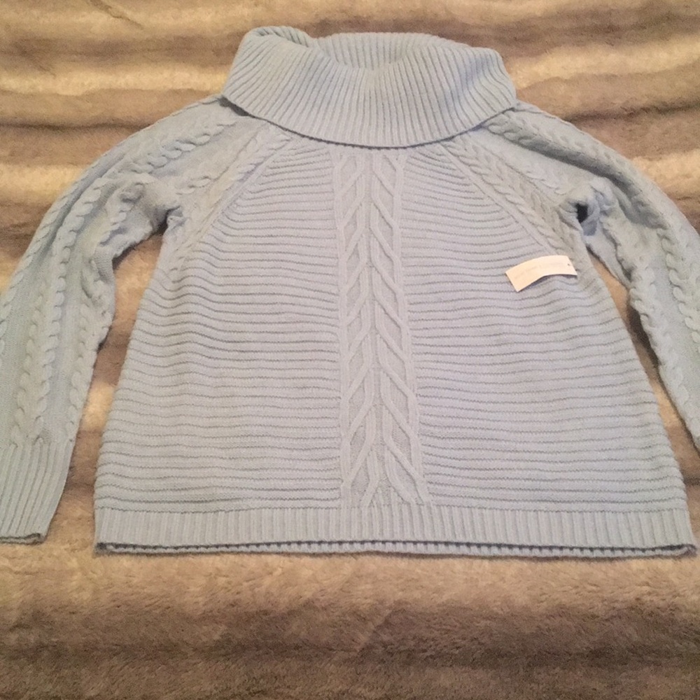 New York & Company Sweater